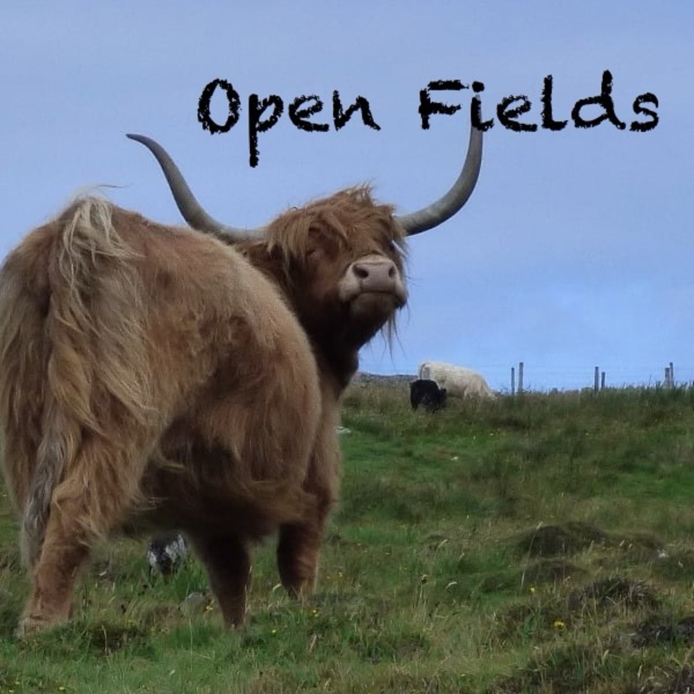 Meet your Posher, C & J Open Fields